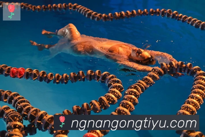 南宫体育APP 封面图